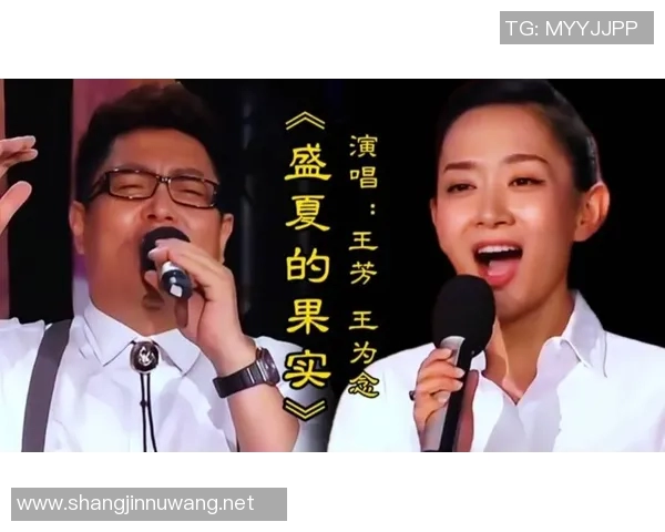 与王芳深度对话探讨她的王者荣耀职业生涯与成长历程 与王芳深度对话探讨她的王者荣耀职业生涯与成长历程