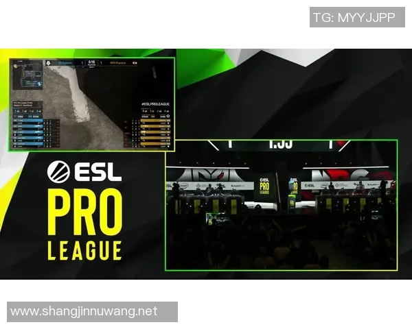 esports数据刘丽专访从新手到职业选手的CSGO成长之路与心路历程